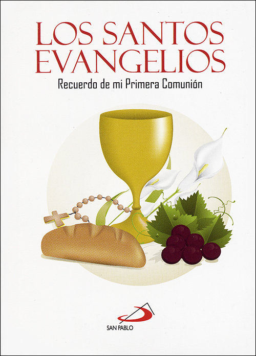 Los santos Evangelios, de Martín Nieto | portada del libro