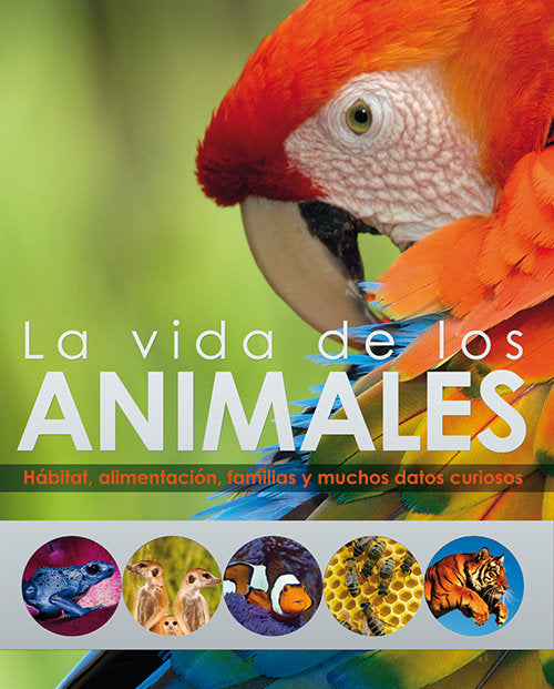 La vida de los animales, de Burnie, David | portada del libro