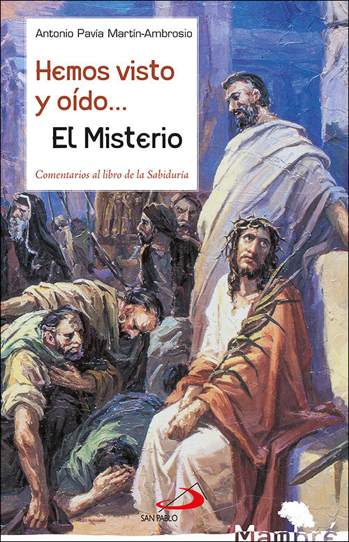 Hemos visto y oído... El Misterio, de Pavía Martín-Ambrosio, Antonio | portada del libro