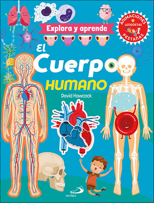 EL CUERPO HUMANO, de HAWCOCK, DAVID | portada del libro