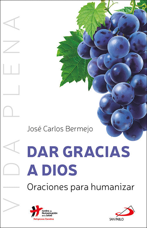 Dar gracias a Dios, de BERMEJO HIGUERA, JOSE CARLOS | portada del libro