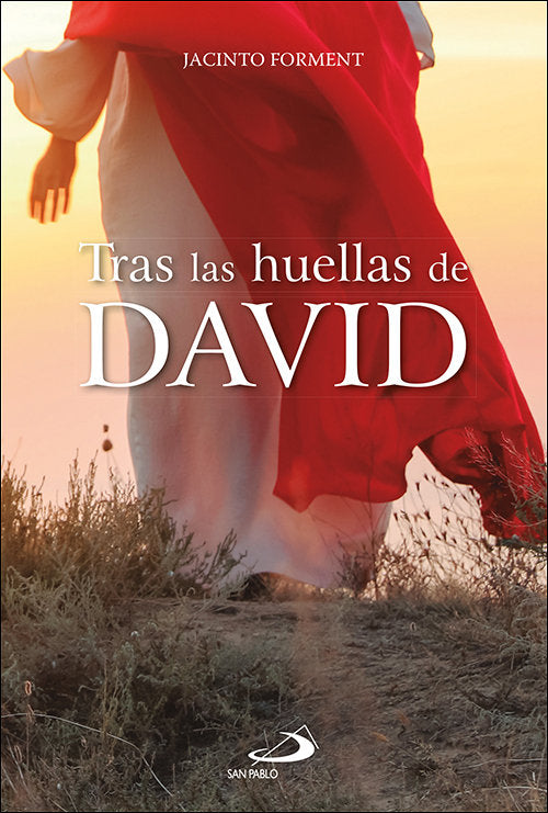 Tras las huellas de David, de FORMENT COSTA, JACINTO | portada del libro