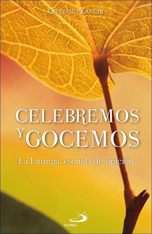 CELEBREMOS Y GOCEMOS, de GIULIANO ZANCHI | portada del libro
