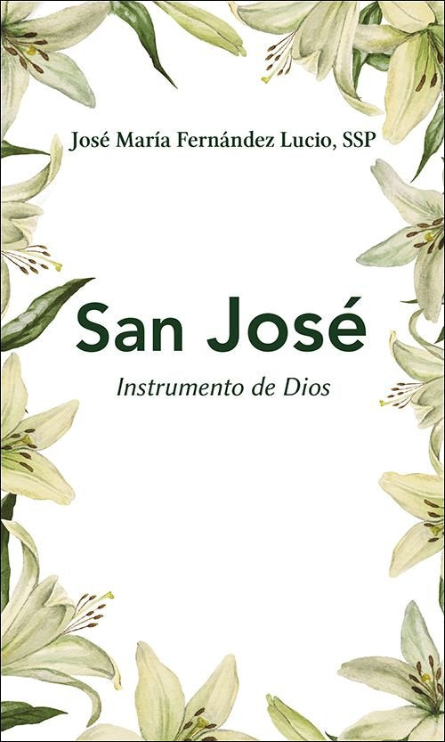 SAN JOSE, de FERNANDEZ LUCIO, JOSE MARIA | portada del libro