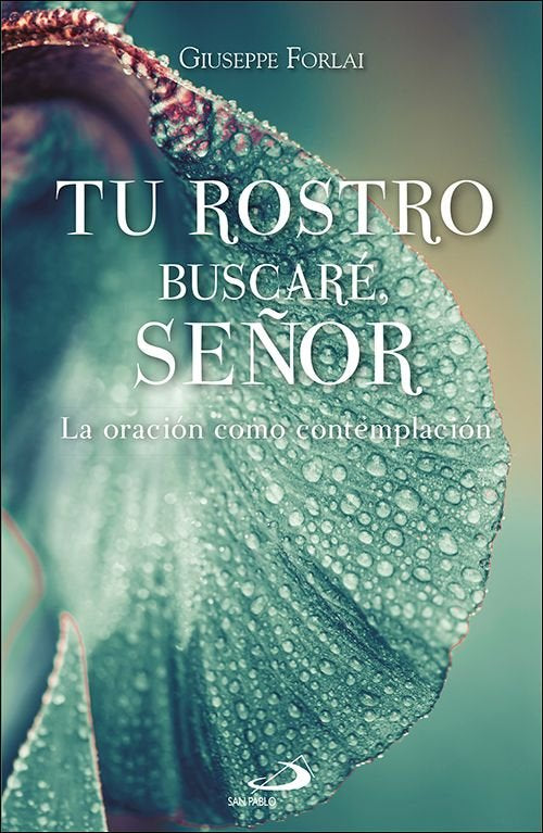 TU ROSTRO BUSCARE, SEÑOR, de FORLAI, GIUSEPPE | portada del libro