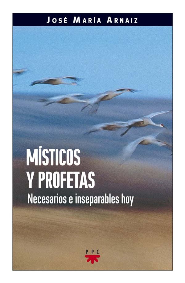 Místicos y profetas, de Arnaiz | portada del libro