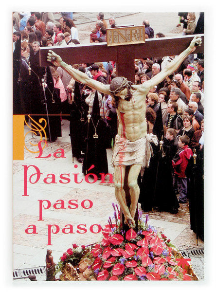 PASION PASO A PASO, de AA.VV. | portada del libro