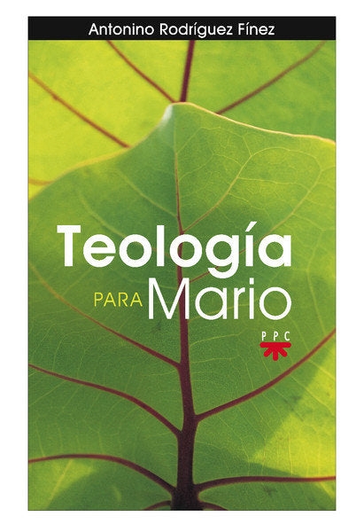 Teolog¡a para Mario, de RODRIGUEZ PINEZ, ANTONINO | portada del libro