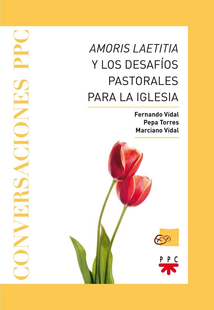 Amoris laetitia y los desafíos pastorales para la Iglesia, de Vidal Fernández, Fernando | portada del libro