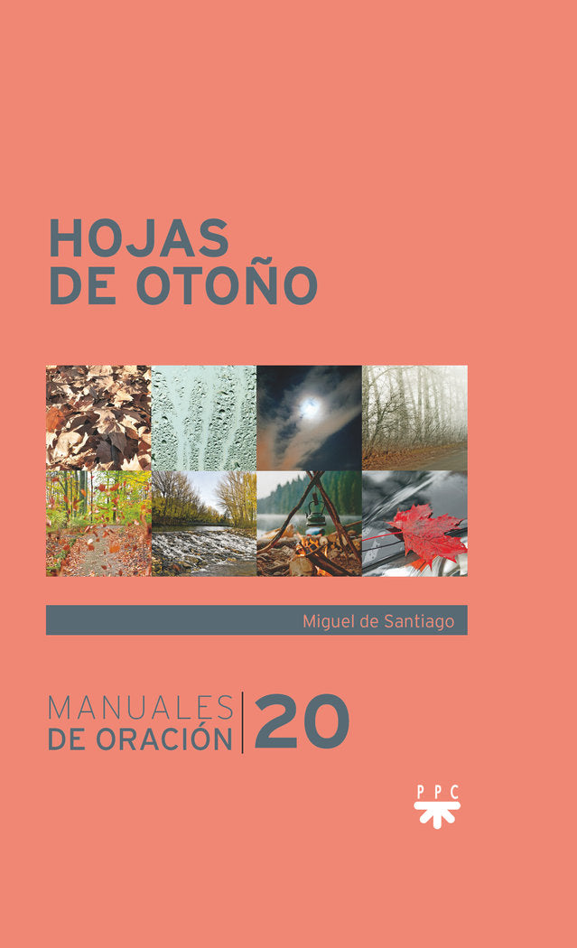 HOJAS DE OTOÑO, de DE SANTIAGO RODRIGUEZ, MIGUEL | portada del libro