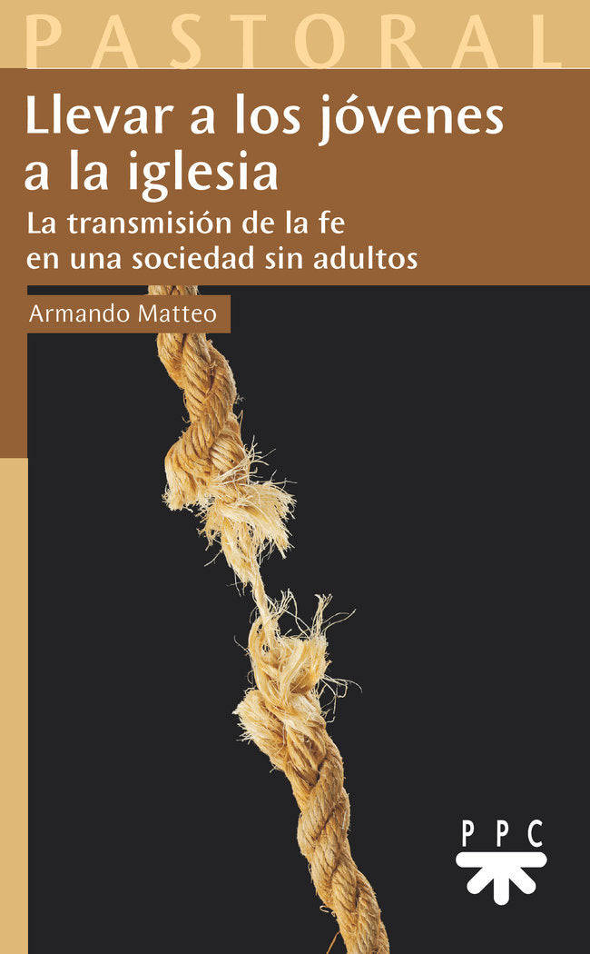LLEVAR A LOS JOVENES A LA IGLESIA, de MATTEO, ARMANDO | portada del libro