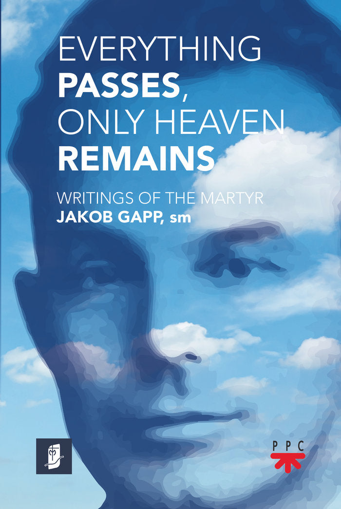 Everything passes, only heavens remains, de EQUIPO DE AUTORES DE LA FAMILIA MARIANIS | portada del libro