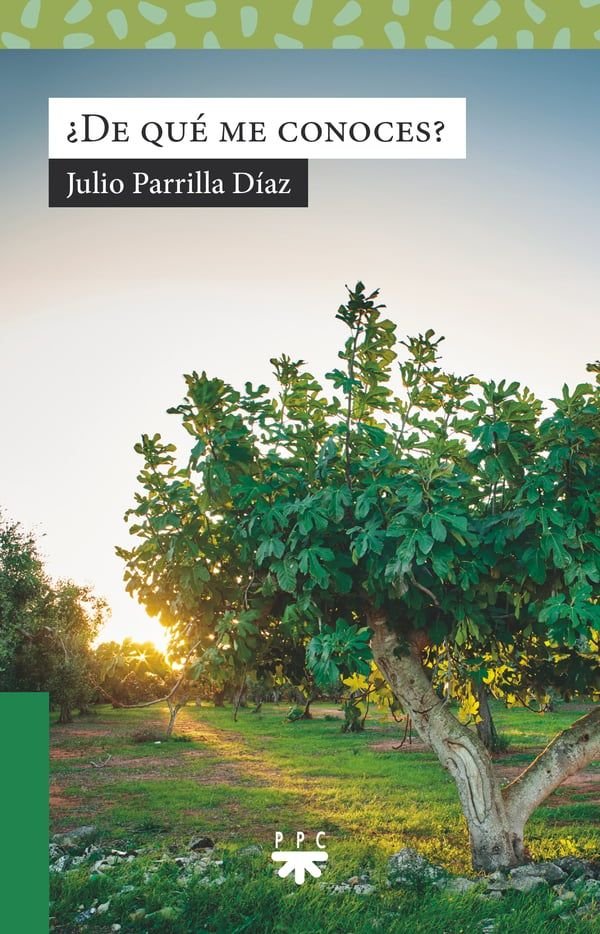 DE QUE ME CONOCES, de PARRILLA DIAZ, JULIO | portada del libro