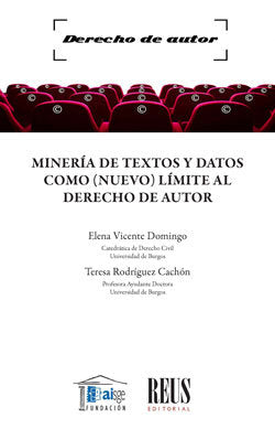 MINERIA DE TEXTOS Y DATOS COMO NUEVO LIMITE AL DERECHO DE, de VICENTE DOMINGO, ELENA | portada del libro