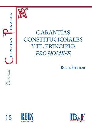 GARANTIAS CONSTITUCIONALES Y EL PRINCIPIO PRO HOMINE, de BERRUEZO, RAFAEL | portada del libro