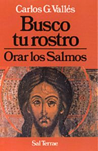 Busco tu rostro, de González Vallés, Carlos | portada del libro