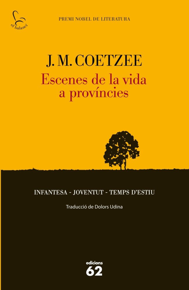 Escenes de la vida a províncies, de Coetzee | portada del libro