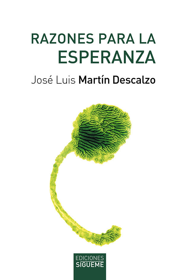 RAZONES PARA LA ESPERANZA, de Martín Descalzo | portada del libro