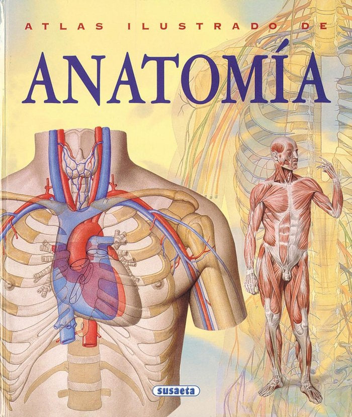 Anatomía, de Rigutti, Adriana | portada del libro