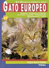 Gato europeo, de Bulard Cordeau, Brigitte | portada del libro