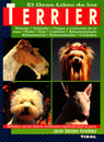 Terrier, de Sánchez Fernández, Javier | portada del libro