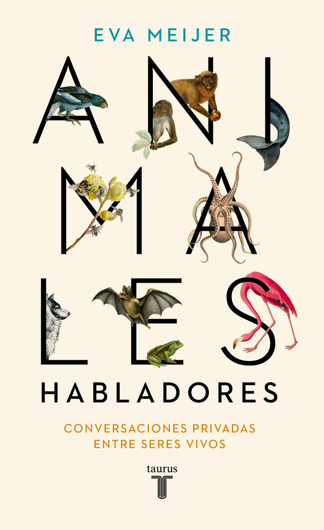 ANIMALES HABLADORES, de MEIJER, EVA | portada del libro