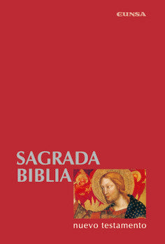 Nuevo Testamento, de Facultad de Teología | portada del libro