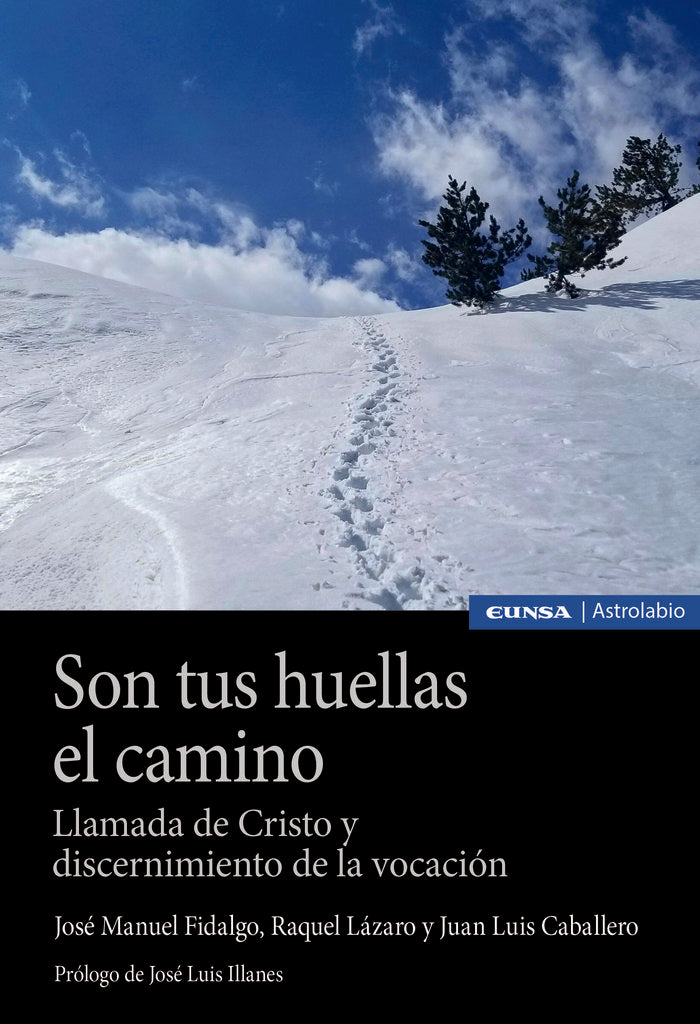 SON TUS HUELLAS EL CAMINO, de FIDALGO ALAIZ, JOSE MANUEL | portada del libro