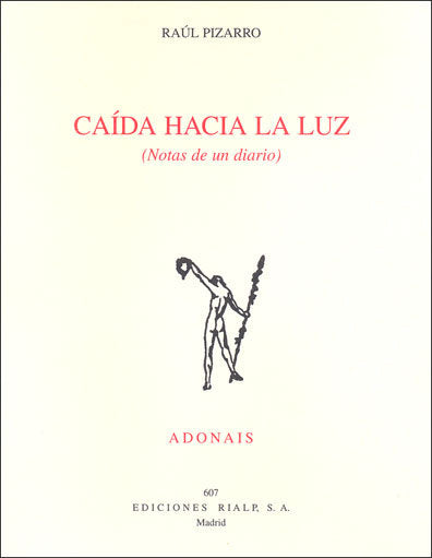 Caída hacia la luz (notas de un diario), de Pizarro Pérez, Raúl Salvador | portada del libro