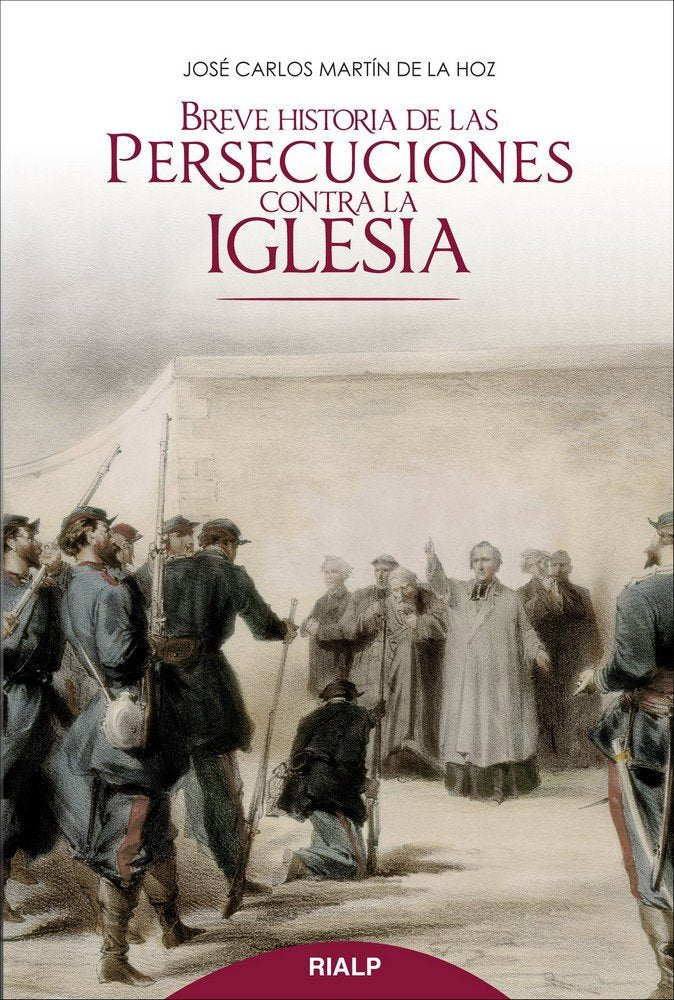 Breve historia de las persecuciones contra la Iglesia, de Martín de la Hoz, José Carlos | portada del libro