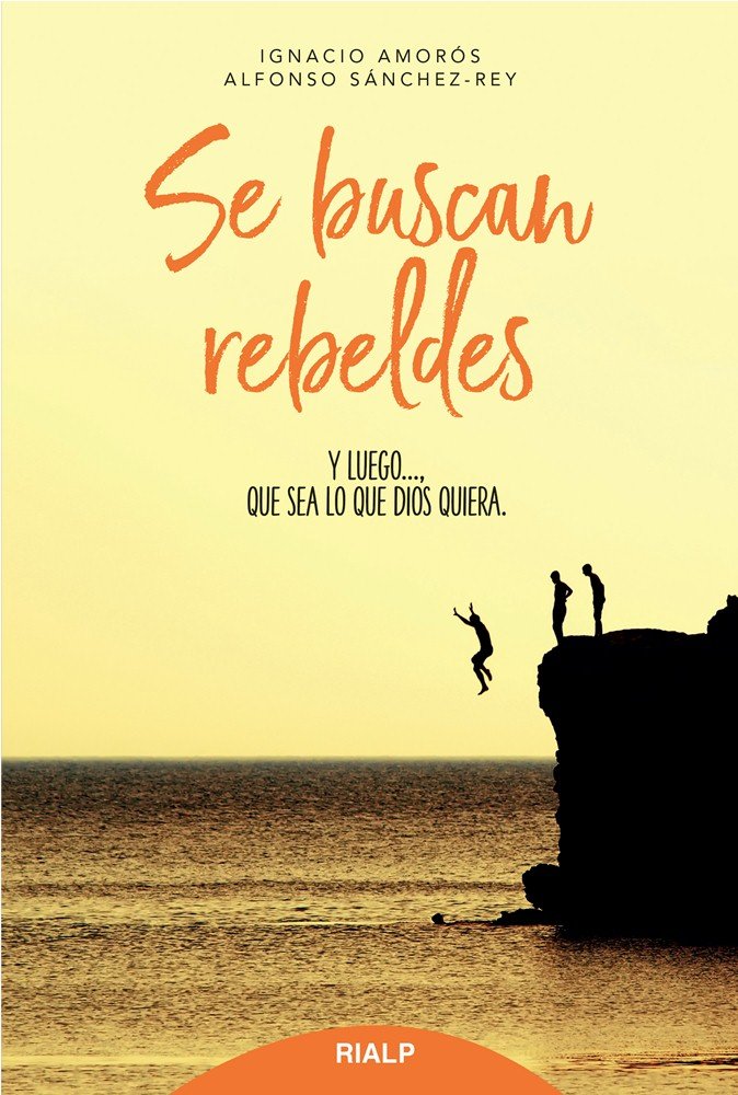 Se buscan rebeldes, de Amorós, Ignacio | portada del libro