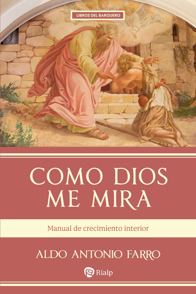 COMO DIOS ME MIRA, de FARRO FERNANDEZ, ALDO ANTONIO | portada del libro