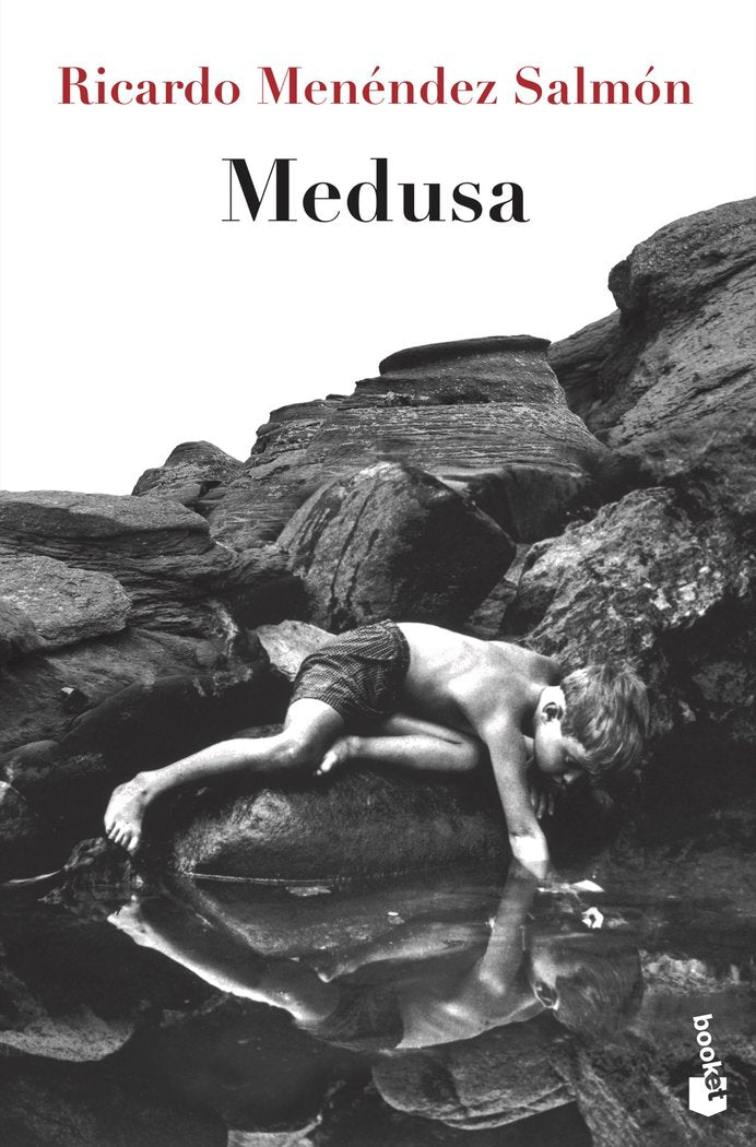 Medusa, de Menéndez Salmón, Ricardo | portada del libro