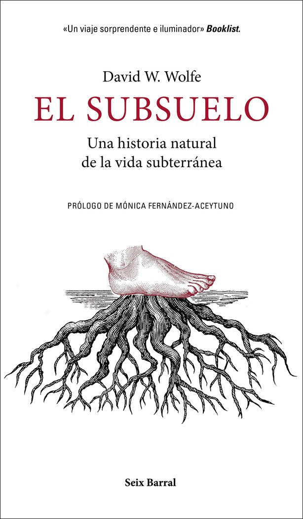 El subsuelo, de Wolfe, David W. | portada del libro