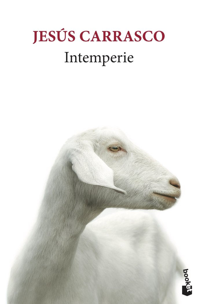 Intemperie, de Carrasco, Jesús | portada del libro