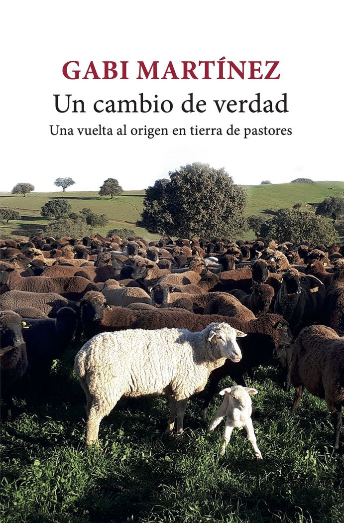 UN CAMBIO DE VERDAD, de GABI MARTINEZ | portada del libro