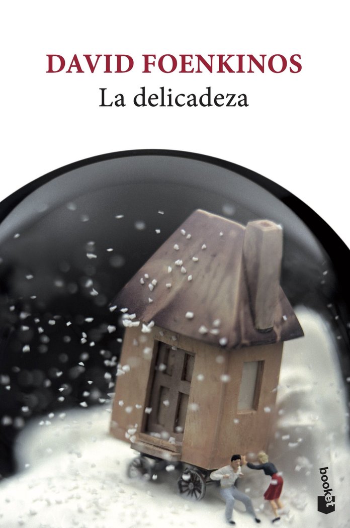 LA DELICADEZA, de DAVID FOENKINOS | portada del libro