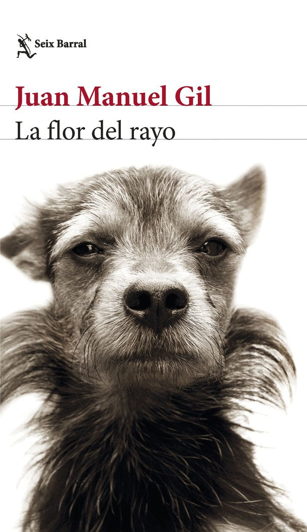 La flor del rayo, de JUAN MANUEL GIL | portada del libro