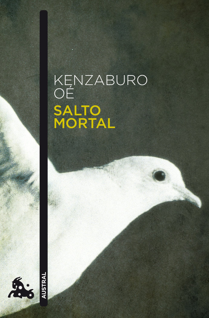 Salto mortal, de Oé | portada del libro