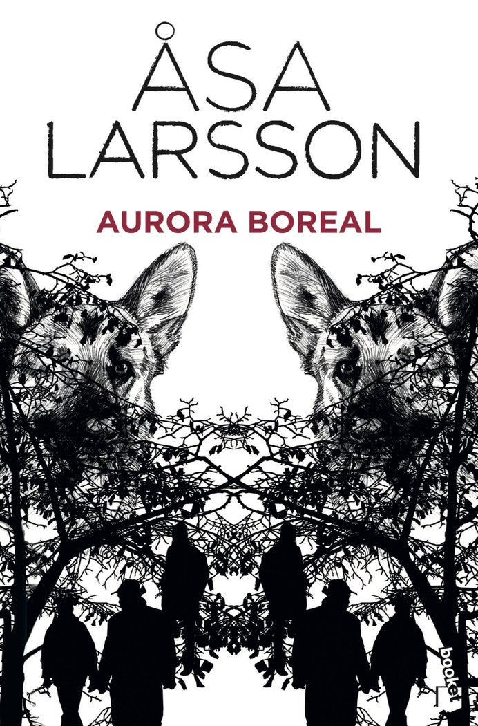 Aurora boreal, de Larsson, Åsa | portada del libro