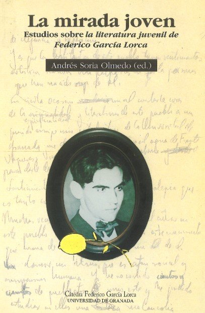 LA MIRADA JOVEN, de SIN AUTOR | portada del libro