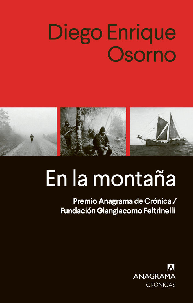 EN LA MONTAÑA, de ENRIQUER OSORNO, DIEGO | portada del libro