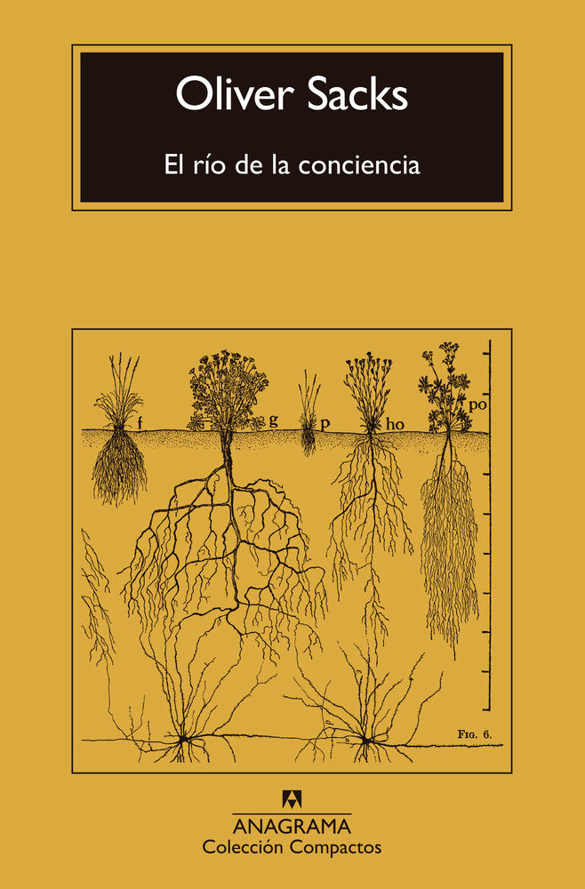 EL RIO DE LA CONCIENCIA, de SACKS, OLIVER | portada del libro