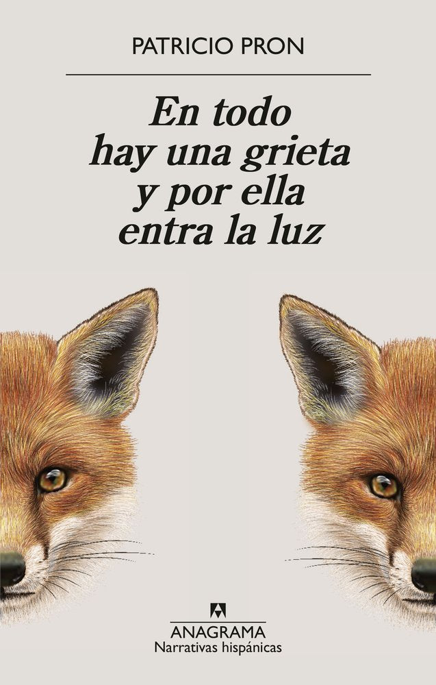 EN TODO HAY UNA GRIETA Y POR ELLA ENTRA LA LUZ, de PRON, PATRICIO | portada del libro