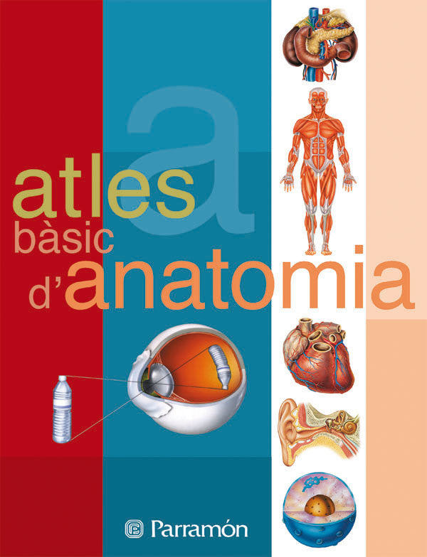 Atles bàsic d'Anatomia, de Cassan, Adolfo | portada del libro