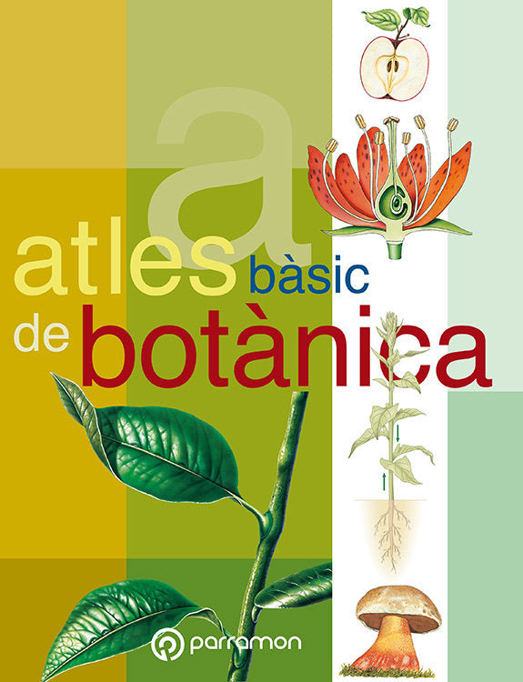 Atles bàsic de Botànica, de Cuerda, Josep | portada del libro