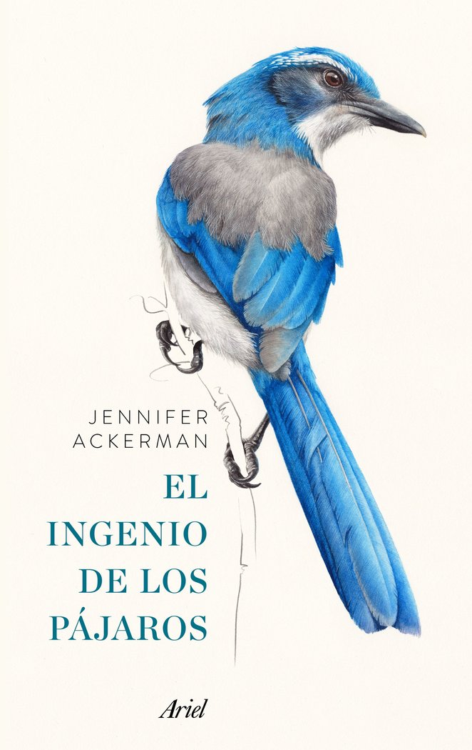 Pack El ingenio de los pájaros, de ACKERMAN | portada del libro