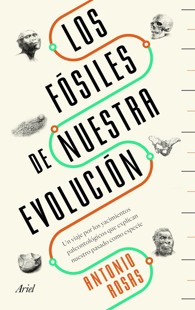 Los fósiles de nuestra evolución, de Rosas | portada del libro