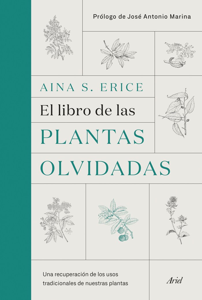 El libro de las plantas olvidadas, de S. Erice, Aina | portada del libro