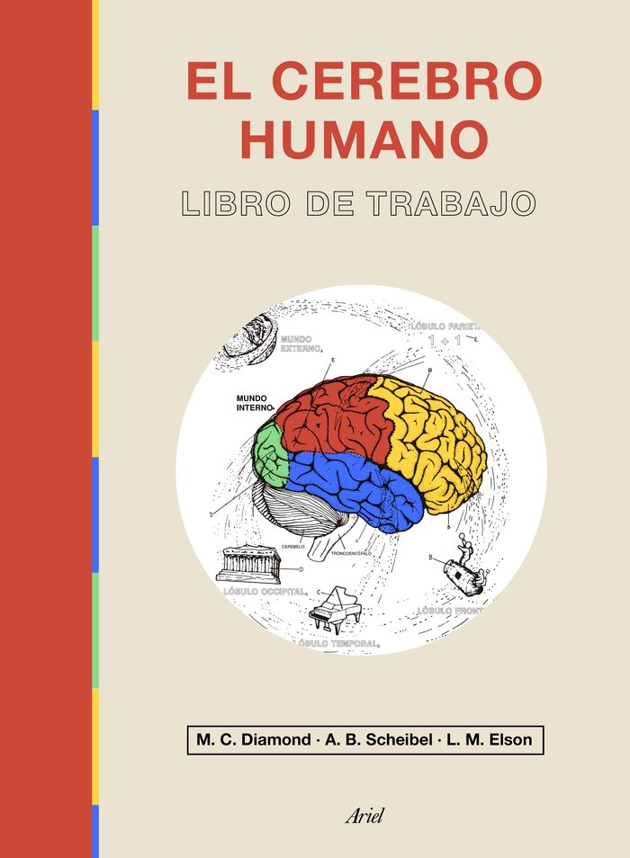 EL CEREBRO HUMANO, de MARIAN C. DIAMOND | portada del libro